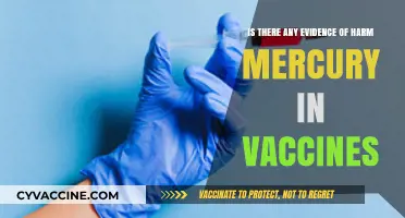 Mercury in Vaccines: Examining Evidence of Potential Harm and Safety