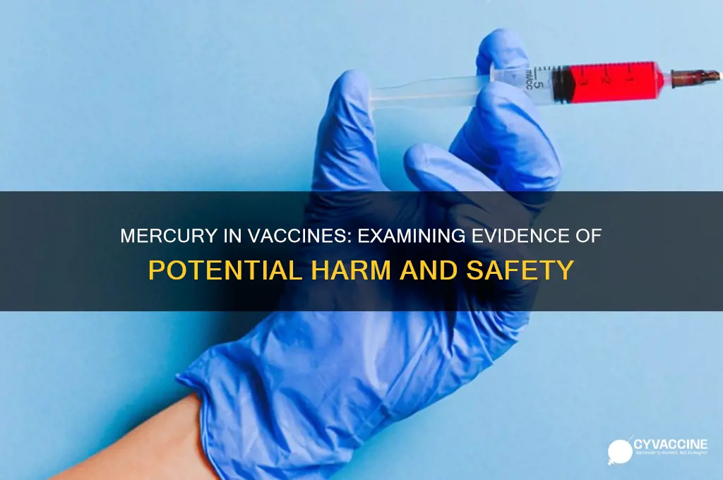 is there any evidence of harm mercury in vaccines