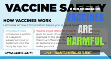 Vaccine Safety: Examining Claims of Harm and Scientific Evidence