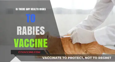 Rabies Vaccine Health Risks: What You Need to Know