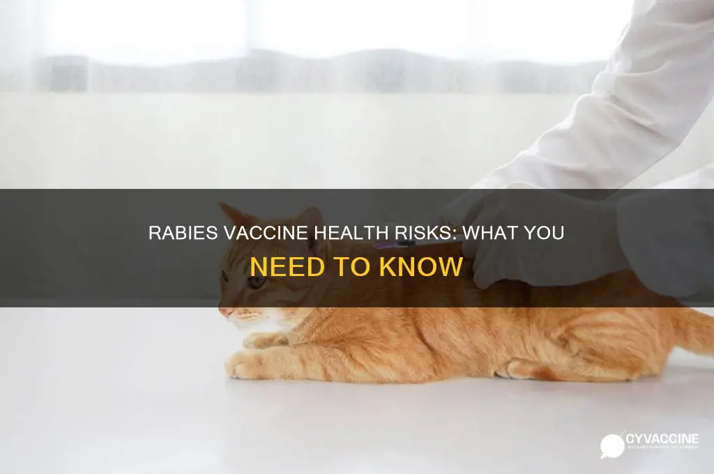 is there any health risks to rabies vaccine