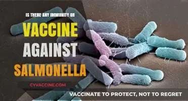 Salmonella Immunity and Vaccines: What You Need to Know