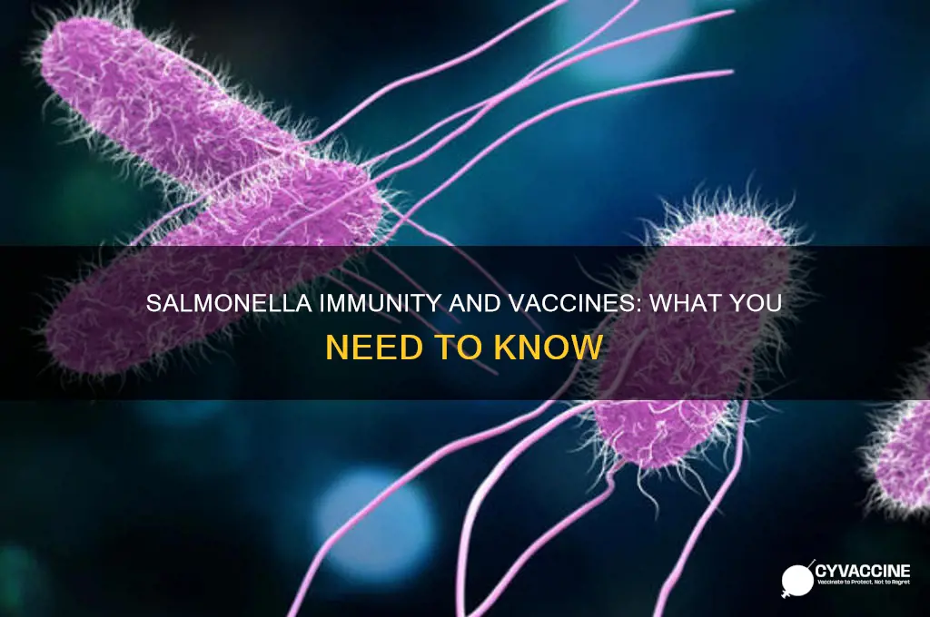 is there any immunity or vaccine against salmonella