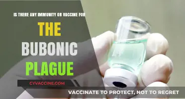 Bubonic Plague Immunity: Exploring Vaccines and Protective Measures Today