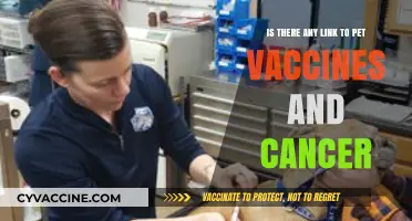 Pet Vaccines and Cancer: Unraveling the Potential Connection and Risks