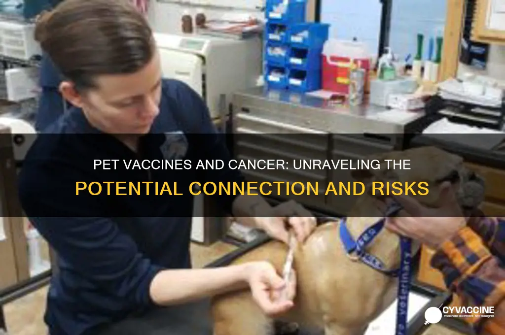 is there any link to pet vaccines and cancer