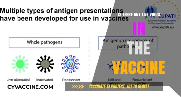 Live Virus in Vaccines: Fact or Fiction? Unraveling the Truth