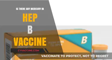 Hepatitis B Vaccine and Mercury: Debunking Myths and Facts