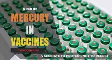 Exploring the Mercury Myth: A Deep Dive into Vaccine Safety