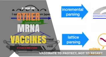 Exploring the mRNA Vaccine Landscape: What's Beyond the First Generation?