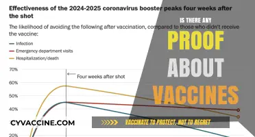 Exploring the Evidence: Do Vaccines Really Work?