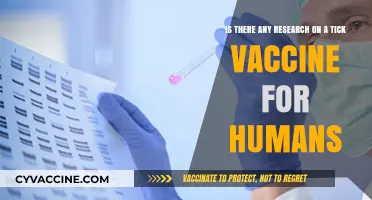 Exploring Tick-Borne Disease Prevention: Is a Human Vaccine Possible?