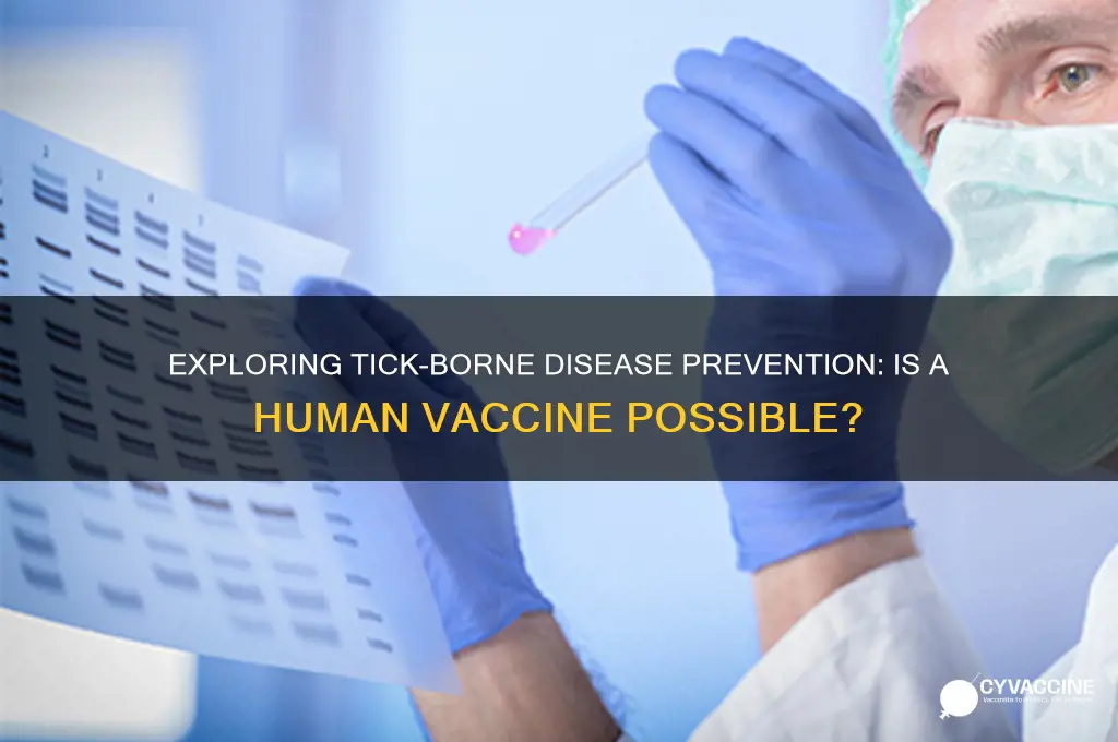 is there any research on a tick vaccine for humans