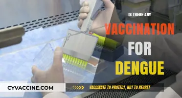 Exploring Dengue Vaccination: Facts, Myths, and the Latest Research