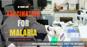 Exploring Malaria Prevention: The Quest for an Effective Vaccine