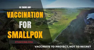 Exploring the Eradication: Is Smallpox Vaccination Still Relevant?