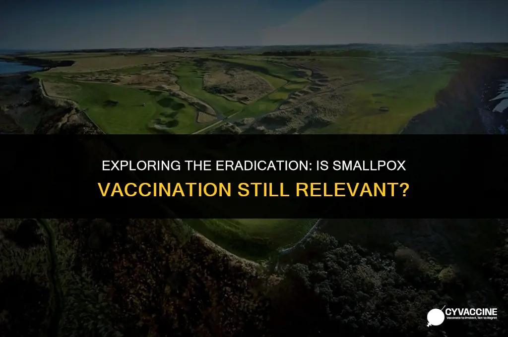 is there any vaccination for smallpox