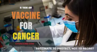 Exploring Cancer Vaccines: Current Research and Future Possibilities