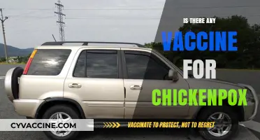 Exploring Chickenpox Vaccination: Facts, Myths, and Prevention