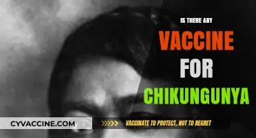 Exploring the Quest for a Chikungunya Vaccine: Hope on the Horizon?