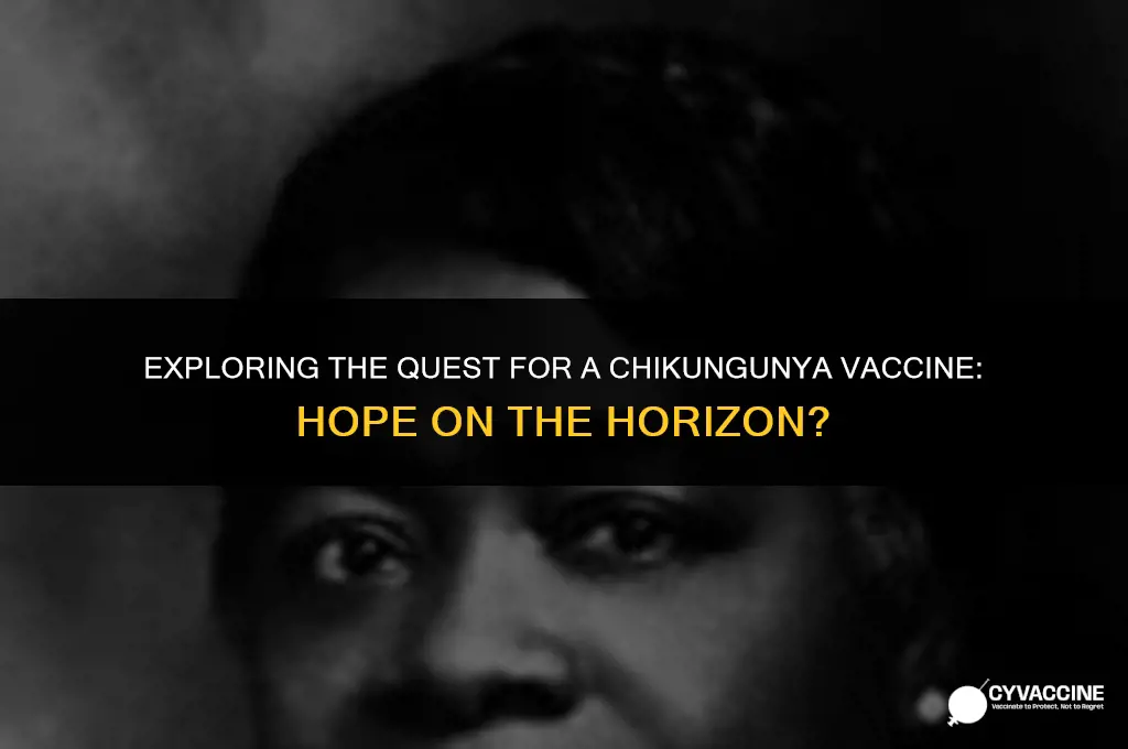 is there any vaccine for chikungunya