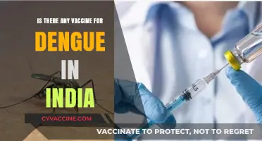 Dengue Vaccine in India: Availability, Effectiveness, and What You Need to Know