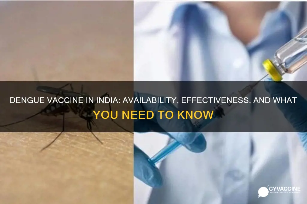 is there any vaccine for dengue in india
