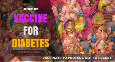 Exploring the Quest for a Diabetes Vaccine: Hope or Hype?