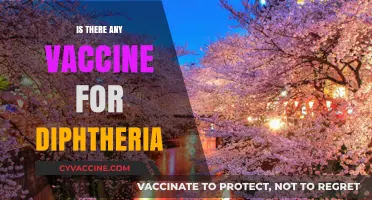 Combatting Diphtheria: The Quest for Effective Vaccination