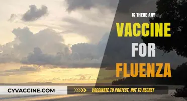 Combatting Influenza: The Quest for an Effective Vaccine