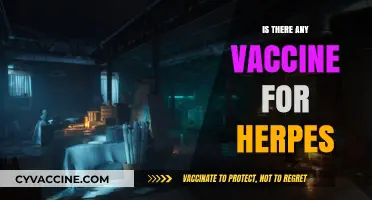 Exploring the Quest for a Herpes Vaccine: Hope or Hype?