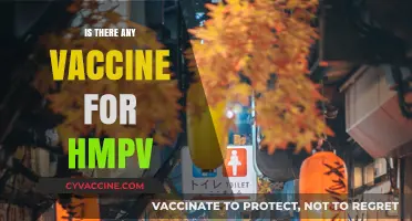 Exploring the Quest for an HMPV Vaccine: Current Status and Future Prospects