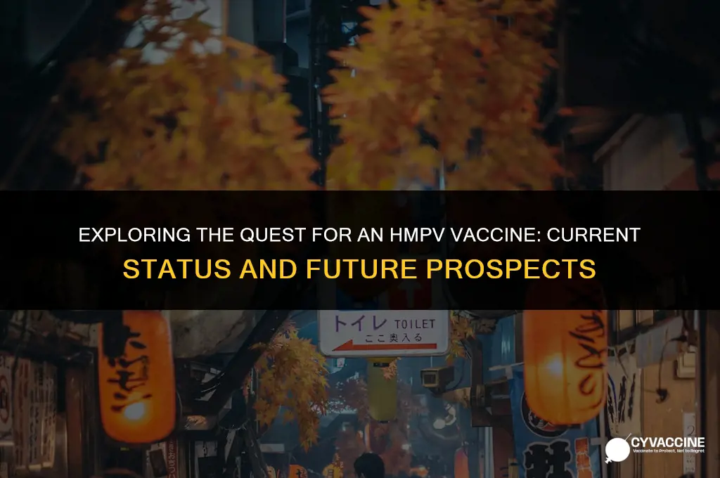 is there any vaccine for hmpv