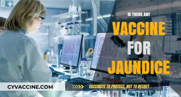 Exploring Jaundice Prevention: The Vaccine Possibilities