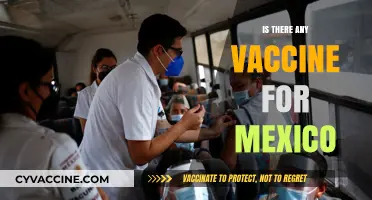 Exploring Vaccine Options for Travel to Mexico: What You Need to Know