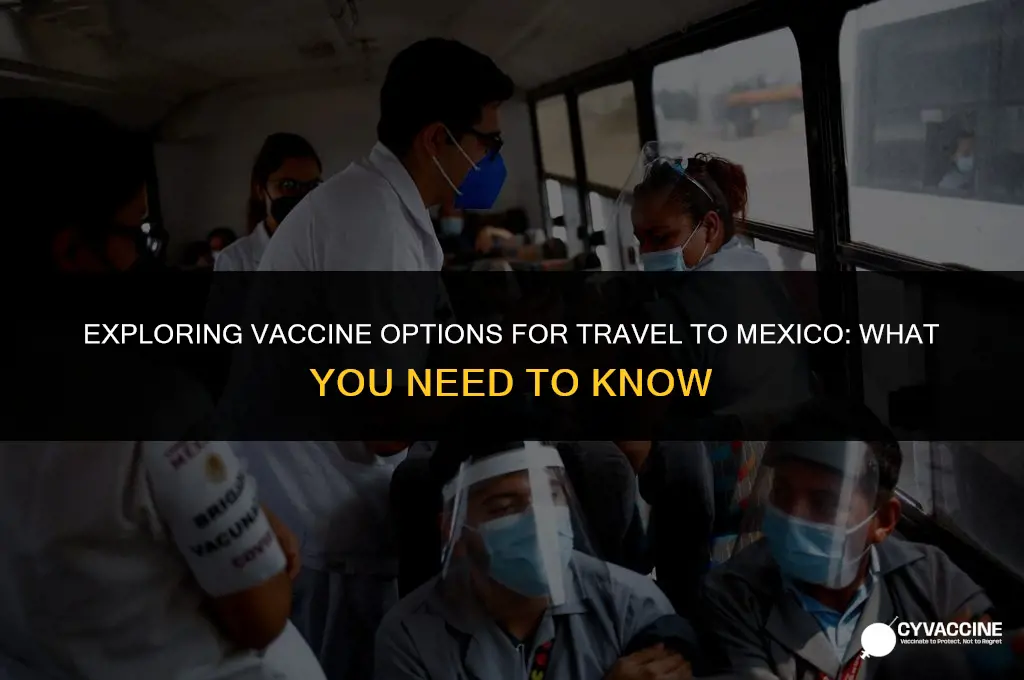 is there any vaccine for mexico
