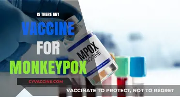 Monkeypox Vaccine: Current Status, Availability, and Prevention Strategies