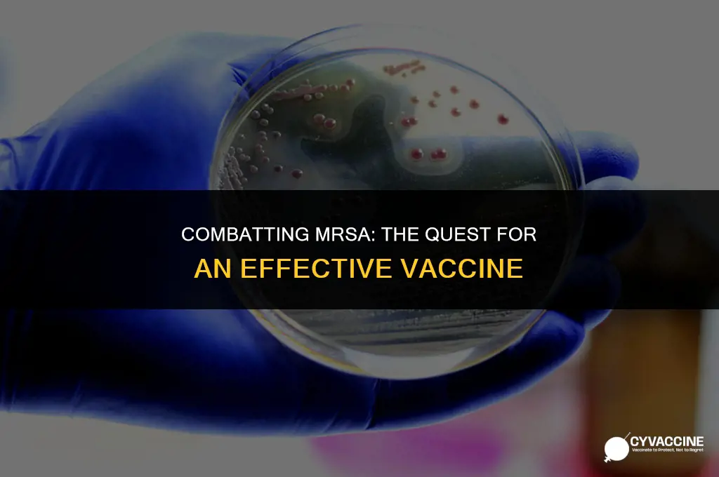 is there any vaccine for mrsa
