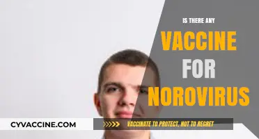 Exploring Norovirus Vaccines: Current Status and Future Prospects
