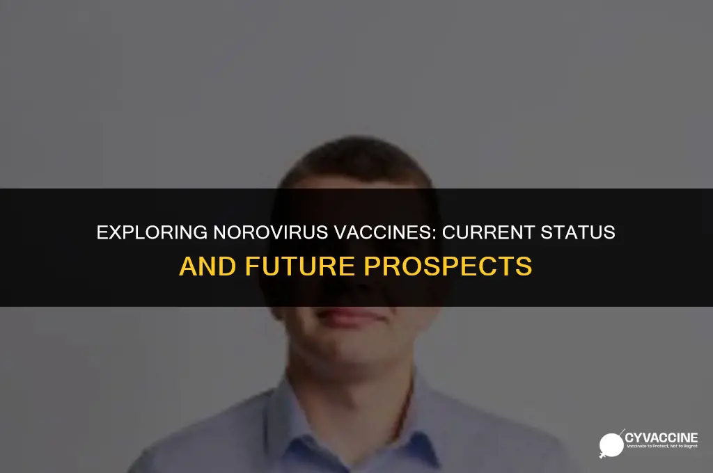 is there any vaccine for norovirus