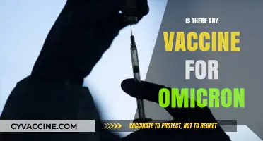 Combatting Omicron: The Quest for an Effective Vaccine
