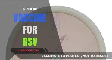 Exploring RSV Vaccines: Current Status and Future Prospects
