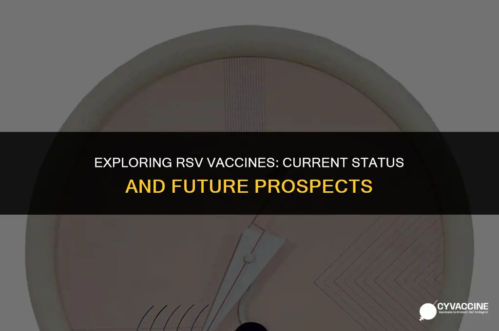 is there any vaccine for rsv