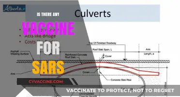 Exploring the Quest for a SARS Vaccine: Progress and Challenges