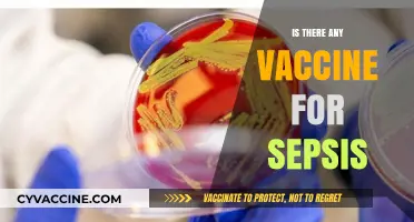 Exploring the Latest Advances: Is There a Vaccine for Sepsis?