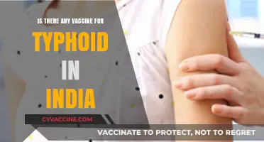 Typhoid Vaccine Availability and Importance in India: What You Need to Know