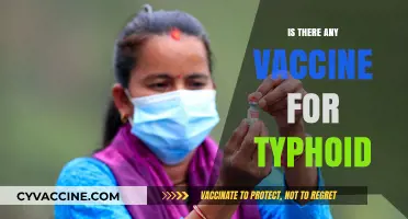 Exploring Typhoid Vaccines: Myths, Facts, and Prevention Strategies