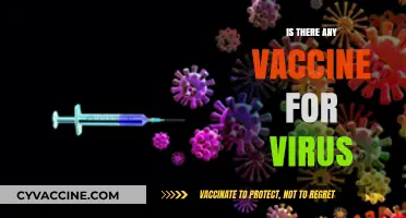 Exploring the Quest for a Universal Virus Vaccine