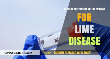 Lyme Disease Vaccine: Hope on the Horizon for Prevention?