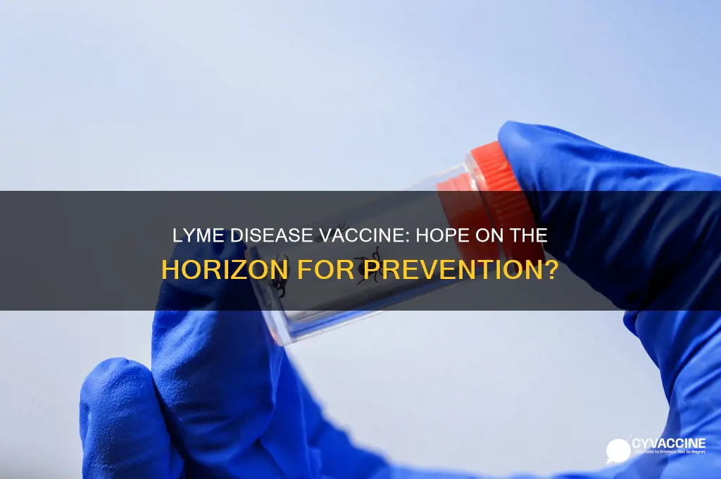 is there any vaccine on the horizon for lime disease